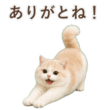 852351329