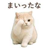 852351331