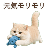 852351332