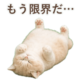 852351333