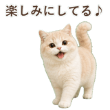 852351335