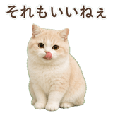 852351337
