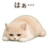 852351338