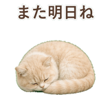 852351340