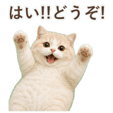 852351341