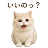 852351343