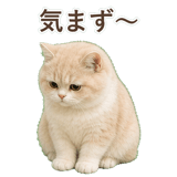 852351344