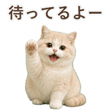 852351347
