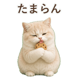 852351348