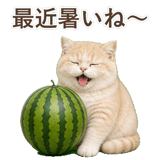 852351350