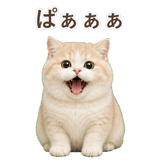 852351354