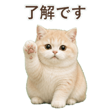 852351355