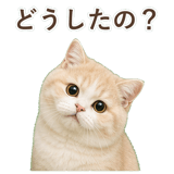 852351358
