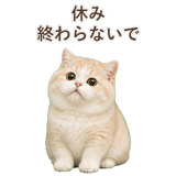 852351361