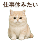 852351362