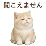 852351363
