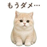 852351364