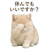 852351365