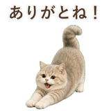 852351369