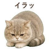 852351370