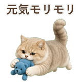 852351372