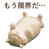 852351373