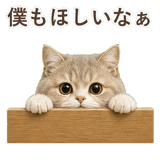852351374