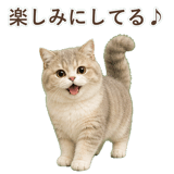 852351375
