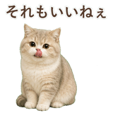 852351377