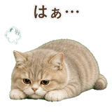 852351378