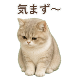 852351384