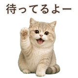 852351387