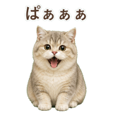 852351394