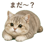 852351396