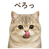 852351397