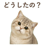 852351398
