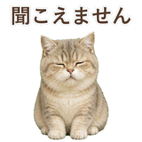 852351403