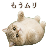 852351406