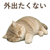 852351407