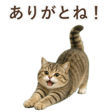 852351489