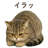 852351490