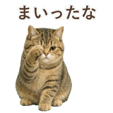 852351491