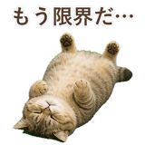 852351493