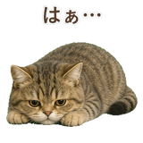 852351498