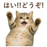 852351501