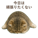 852351502