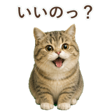 852351503