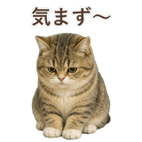 852351504