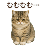 852351506