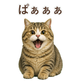 852351514